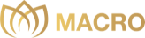 Macro Global Markets巨汇