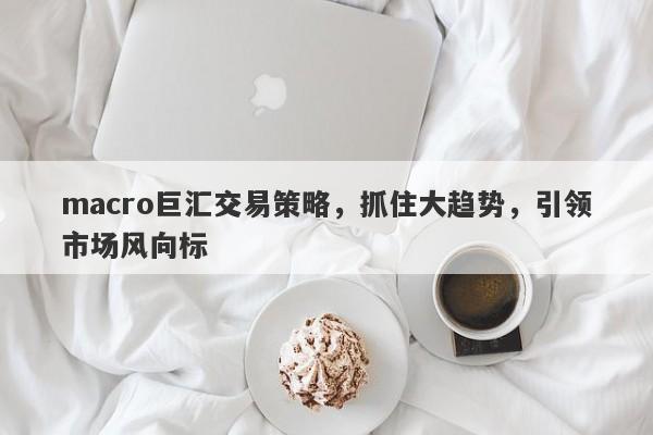 macro巨汇交易策略，抓住大趋势，引领市场风向标