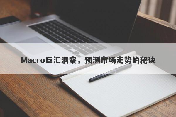 Macro巨汇洞察，预测市场走势的秘诀