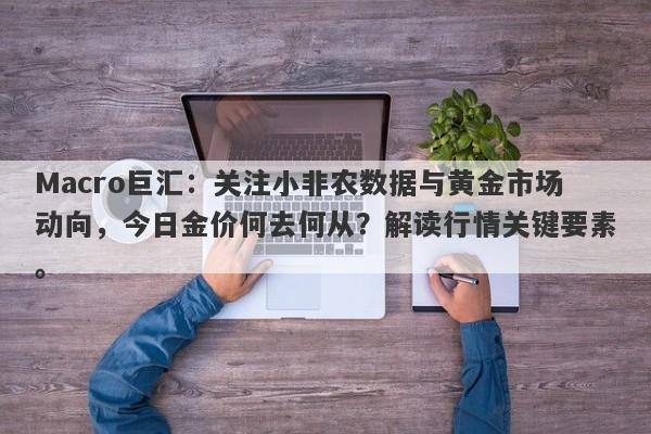 Macro巨汇：关注小非农数据与黄金市场动向，今日金价何去何从？解读行情关键要素。