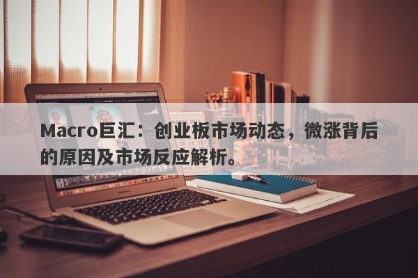 Macro巨汇：创业板市场动态，微涨背后的原因及市场反应解析。