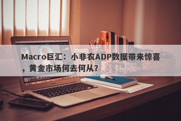 Macro巨汇：小非农ADP数据带来惊喜，黄金市场何去何从？