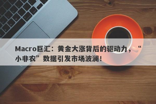 Macro巨汇：黄金大涨背后的驱动力，“小非农”数据引发市场波澜！