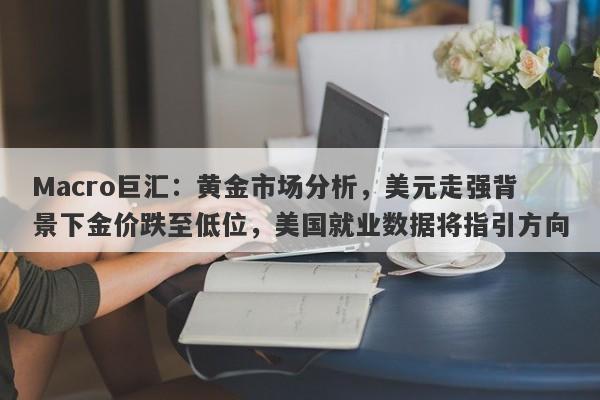 Macro巨汇：黄金市场分析，美元走强背景下金价跌至低位，美国就业数据将指引方向