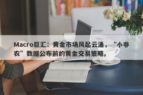 Macro巨汇:黄金市场风起云涌,“小非农”数据公布前的黄金交易策略。