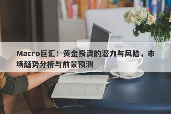 Macro巨汇:黄金投资的潜力与风险,市场趋势分析与前景预测