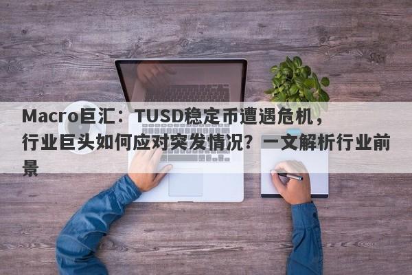 Macro巨汇:TUSD稳定币遭遇危机,行业巨头如何应对突发情况?一文解析行业前景