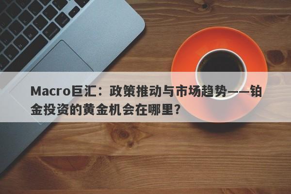 Macro巨汇:政策推动与市场趋势——铂金投资的黄金机会在哪里?