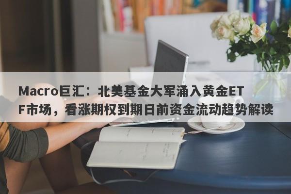 Macro巨汇：北美基金大军涌入黄金ETF市场，看涨期权到期日前资金流动趋势解读