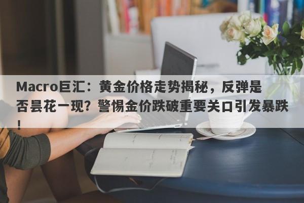 Macro巨汇：黄金价格走势揭秘，反弹是否昙花一现？警惕金价跌破重要关口引发暴跌！