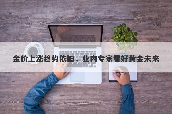 金价上涨趋势依旧，业内专家看好黄金未来