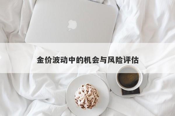 金价波动中的机会与风险评估