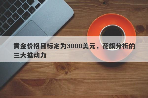 黄金价格目标定为3000美元，花旗分析的三大推动力