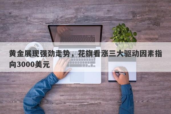 黄金展现强劲走势，花旗看涨三大驱动因素指向3000美元